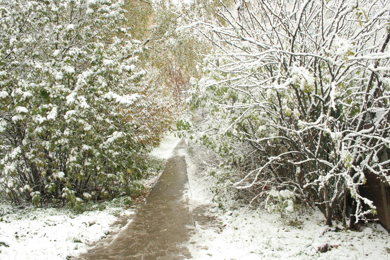 IMG_0766.jpg1.jpg"%20height="533"%20width="800